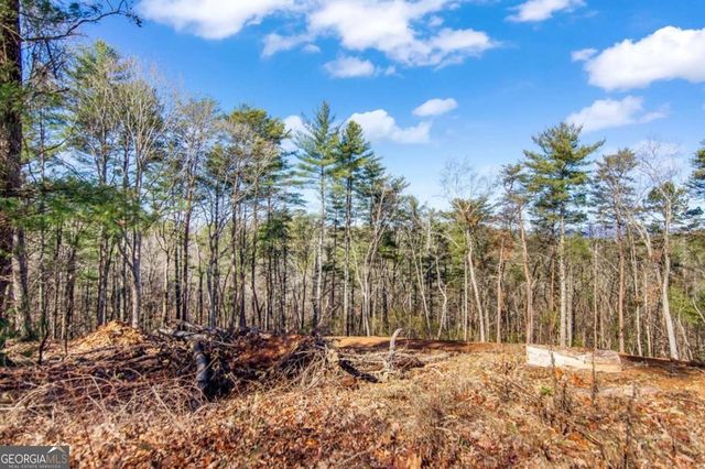 3.12 ACR Eric Lane, Ellijay, GA 30540