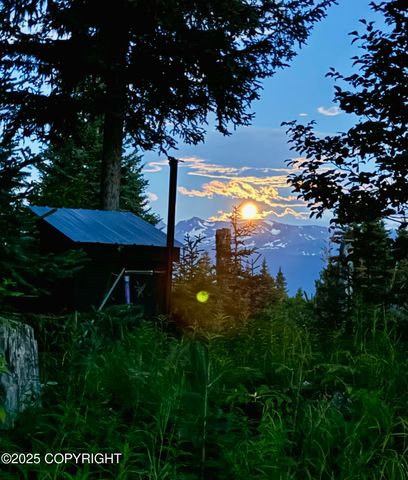 48526 Morrison Drive, Homer, AK 99603