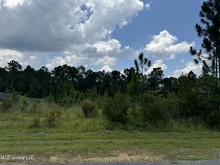 Longwood Lane, Gulfport, MS 39503
