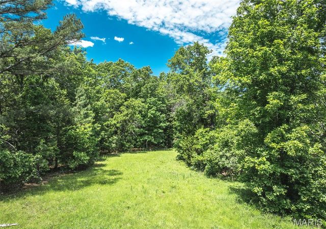 64 New Home Road, Salem, MO 65560