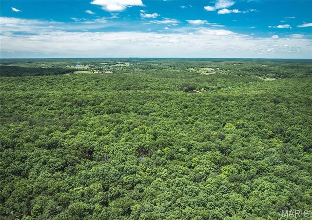 64 New Home Road, Salem, MO 65560