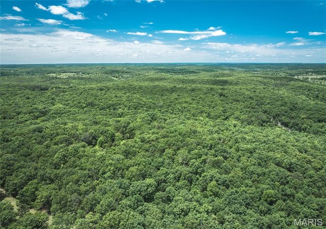 64 New Home Road, Salem, MO 65560