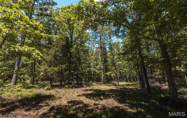 64 New Home Road, Salem, MO 65560