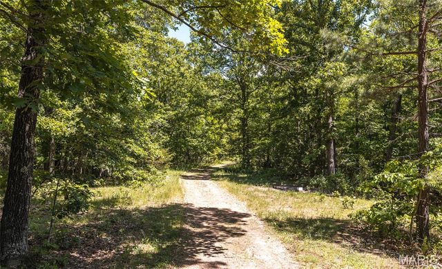 64 New Home Road, Salem, MO 65560