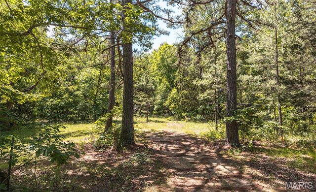 64 New Home Road, Salem, MO 65560