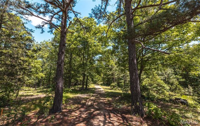 64 New Home Road, Salem, MO 65560