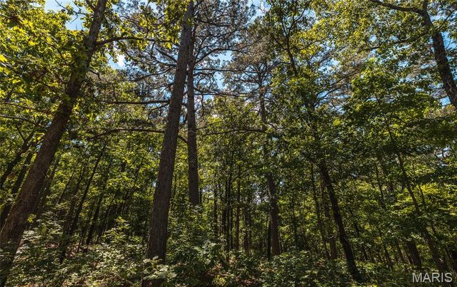 64 New Home Road, Salem, MO 65560