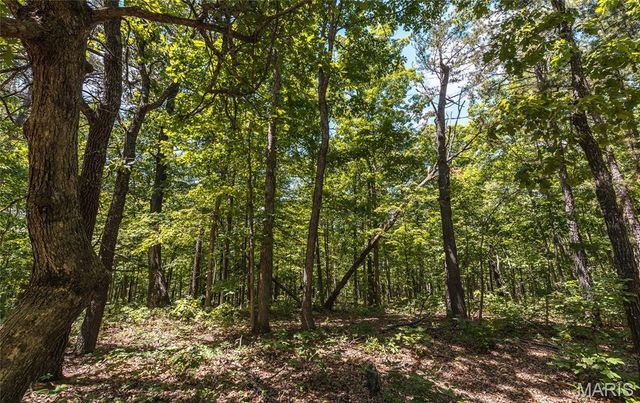 64 New Home Road, Salem, MO 65560