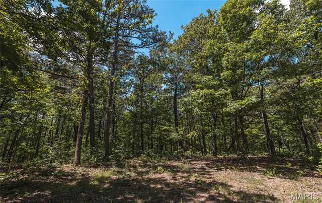 64 New Home Road, Salem, MO 65560