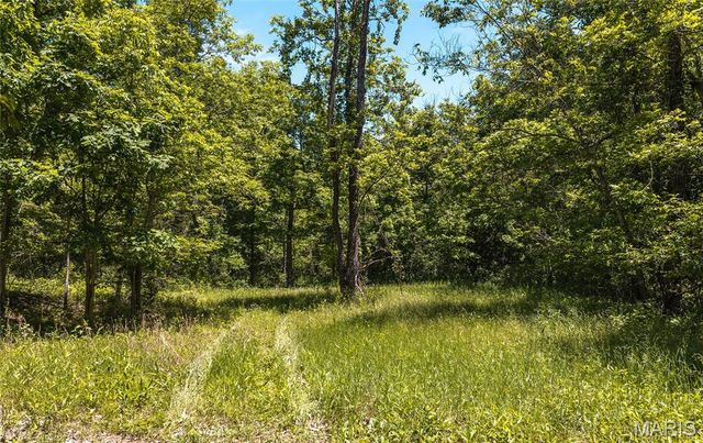 64 New Home Road, Salem, MO 65560