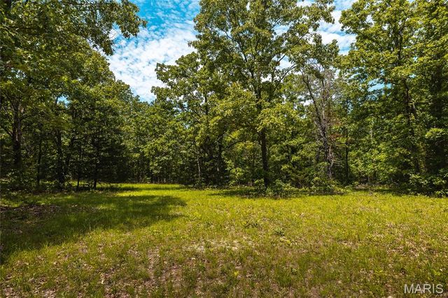 64 New Home Road, Salem, MO 65560