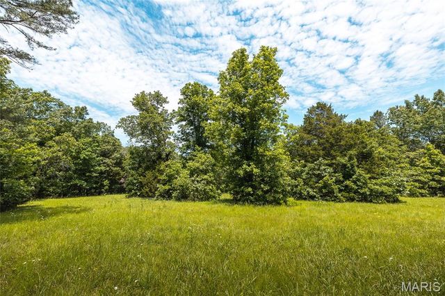 64 New Home Road, Salem, MO 65560