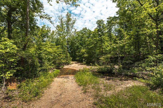 64 New Home Road, Salem, MO 65560