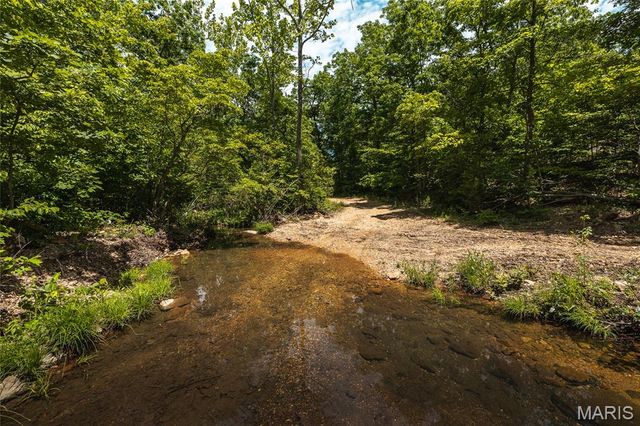 64 New Home Road, Salem, MO 65560