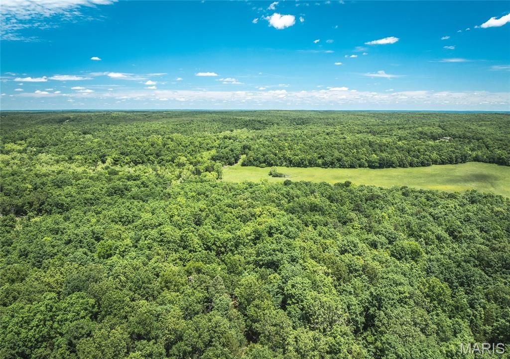 64 New Home Road, Salem, MO 65560