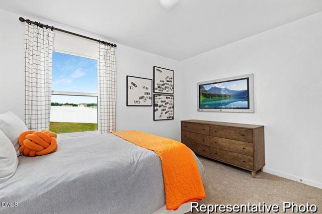 92 Open Meadow Court 91p, Lillington, NC 27546