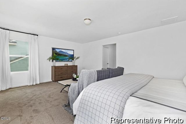 92 Open Meadow Court 91p, Lillington, NC 27546