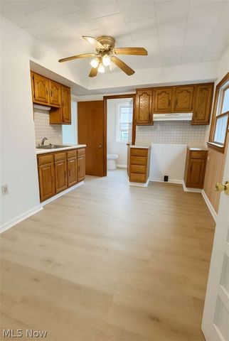 426 E 160 Street, Cleveland, OH 44110
