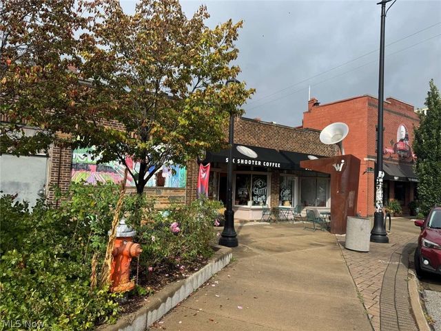 426 E 160 Street, Cleveland, OH 44110