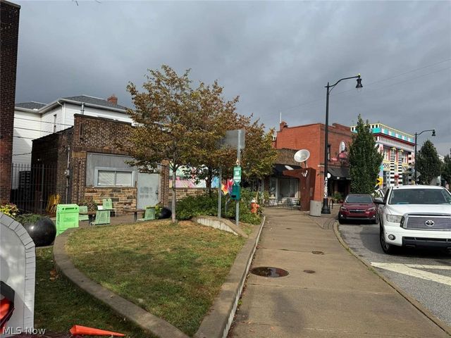 426 E 160 Street, Cleveland, OH 44110