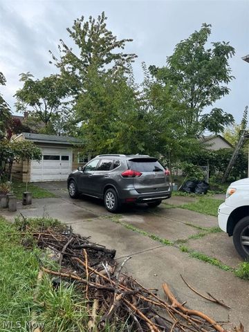 426 E 160 Street, Cleveland, OH 44110