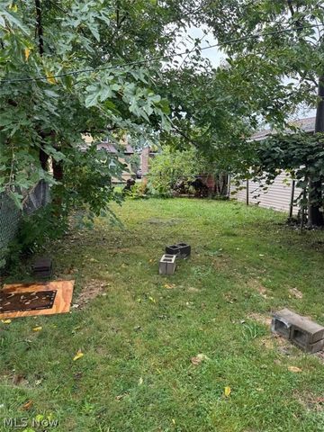 426 E 160 Street, Cleveland, OH 44110
