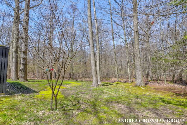 6919 Bendemeer Drive, Fennville, MI 49408