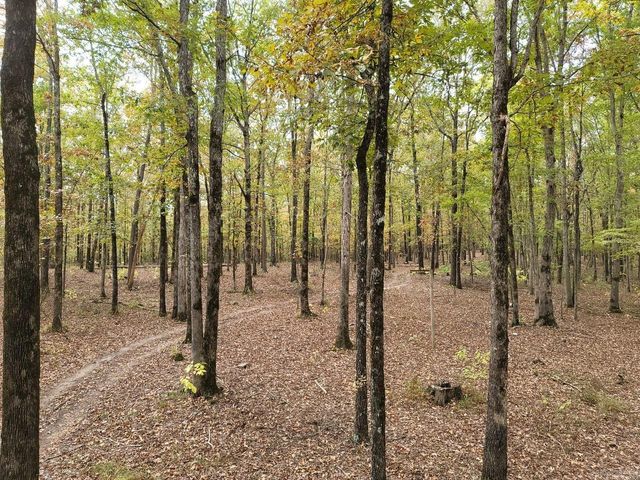 10823 Wyllia Road, Benton, AR 72019