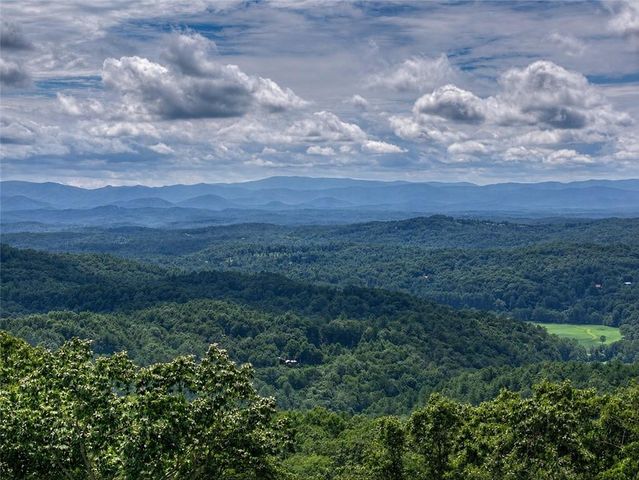 401 Kittatinny Drive, Mineral Bluff, GA 30559