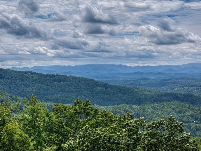 401 Kittatinny Drive, Mineral Bluff, GA 30559