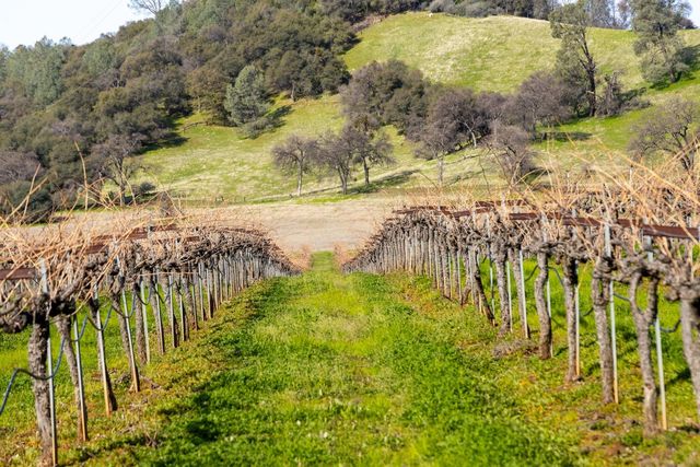 7449 Esmeralda Rd, San Andreas, CA 95249