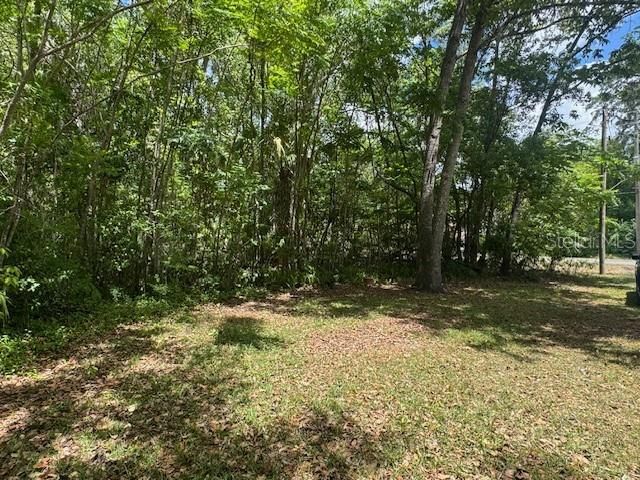 1038 SE 30TH AVENUE, Ocala, FL 34471