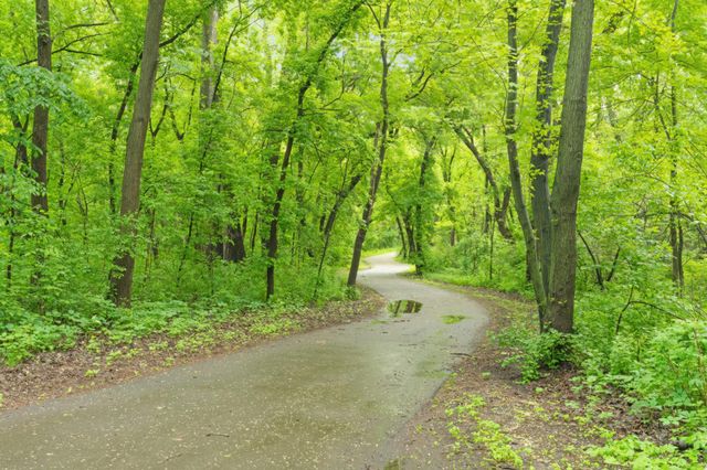 15958 Harwell Avenue, Apple Valley, MN 55124