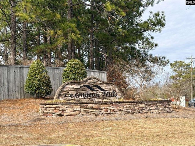 175 Savannah Hills Drive, Lexington, SC 29073