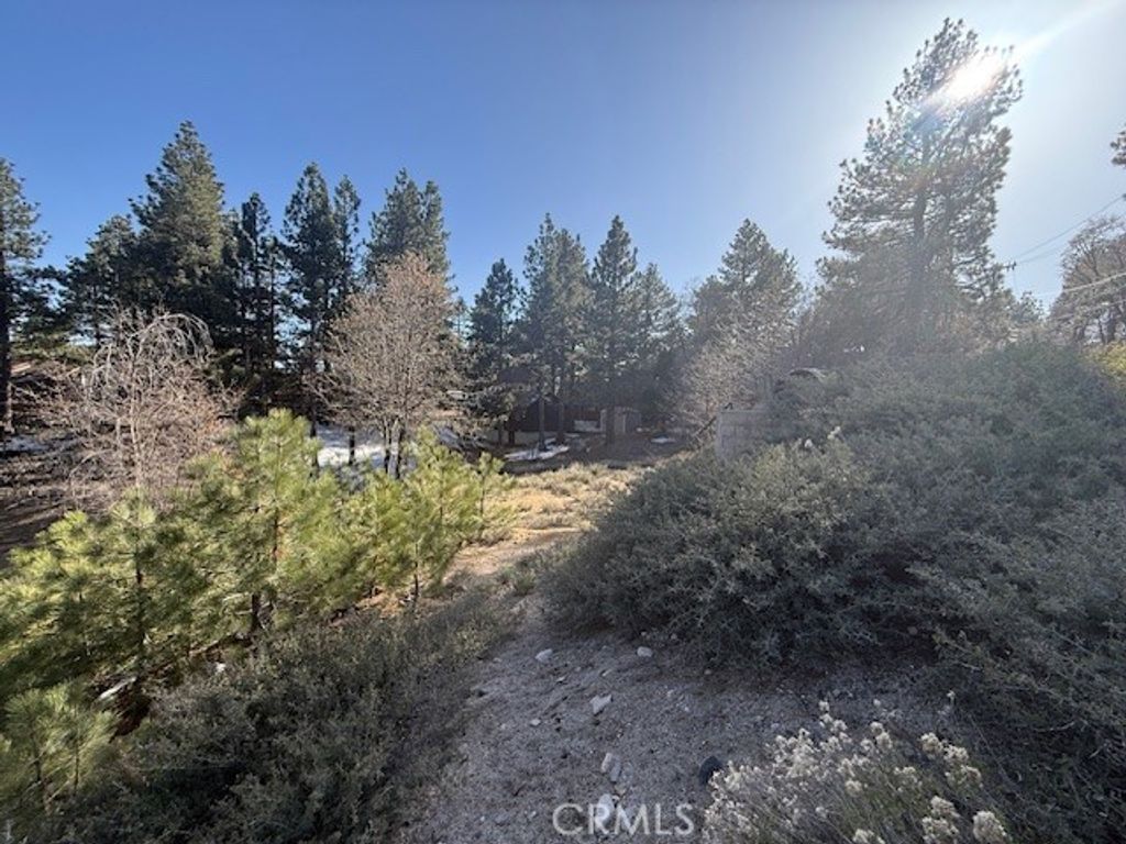Image 11 of property listing at 33263 Holcomb Creek, Green Valley Lake, CA 92341