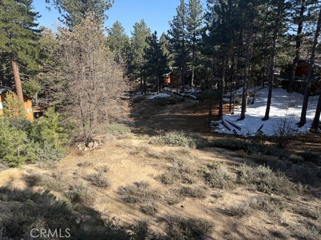 Image 12 of property listing at 33263 Holcomb Creek, Green Valley Lake, CA 92341