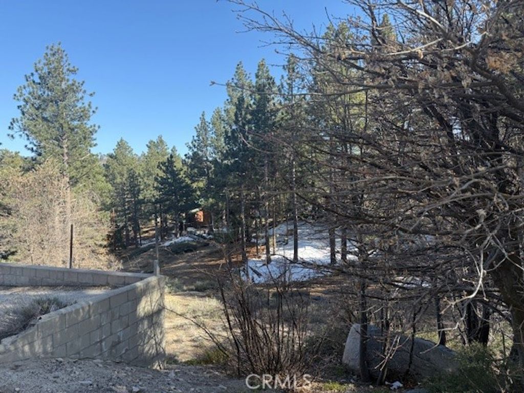 Image 2 of property listing at 33263 Holcomb Creek, Green Valley Lake, CA 92341