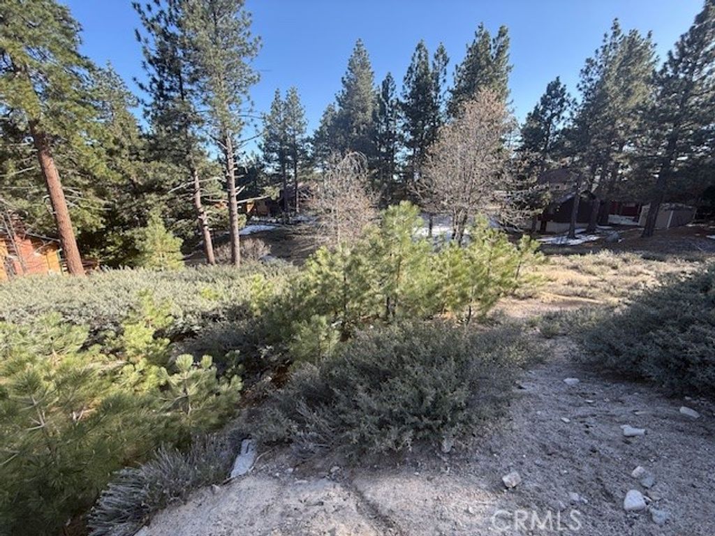 Image 3 of property listing at 33263 Holcomb Creek, Green Valley Lake, CA 92341