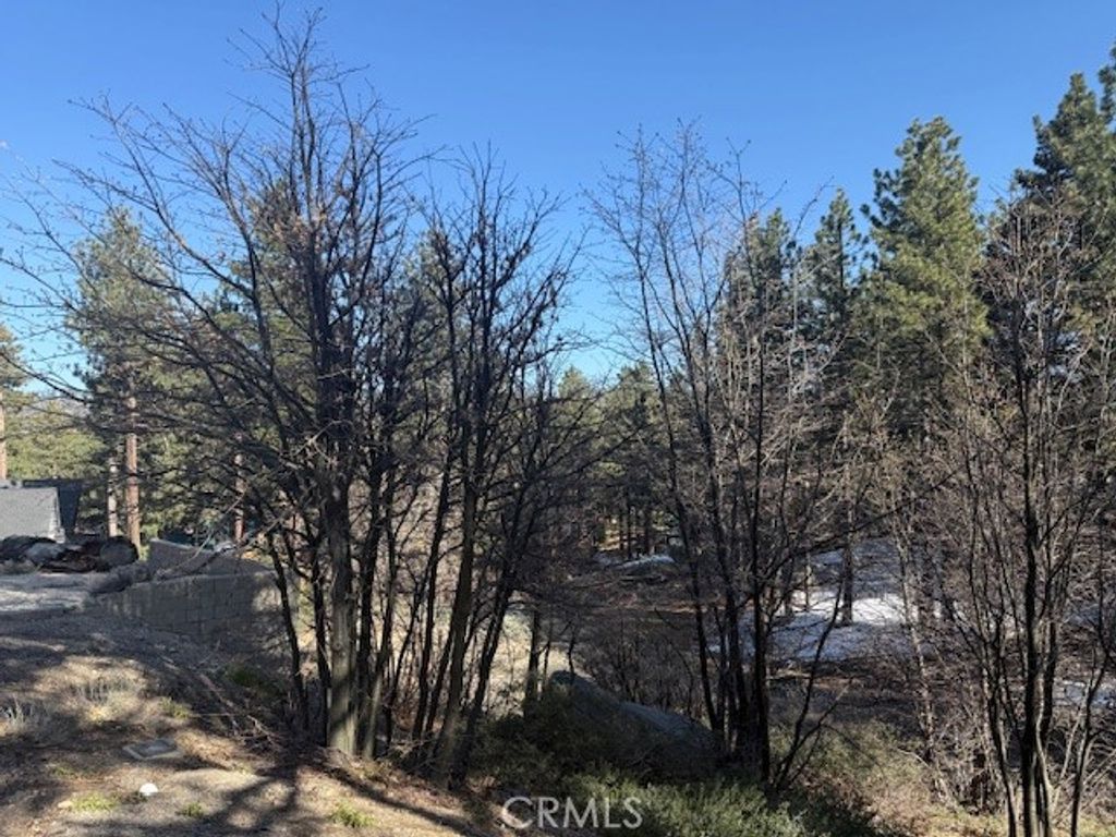 Image 4 of property listing at 33263 Holcomb Creek, Green Valley Lake, CA 92341