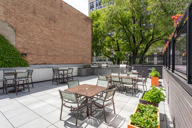 21 W Goethe Street 18GH, Chicago, IL 60610