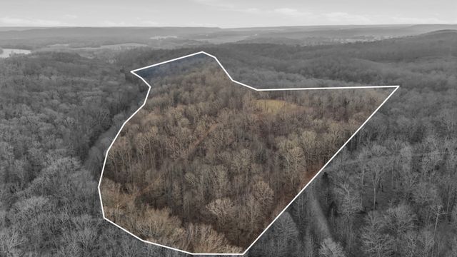 1655 Box Hollow Rd, New Johnsonville, TN 37134