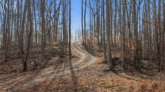 1655 Box Hollow Rd, New Johnsonville, TN 37134