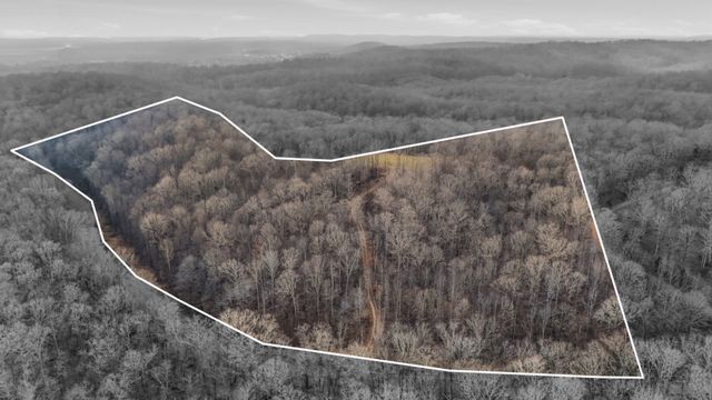 1655 Box Hollow Rd, New Johnsonville, TN 37134