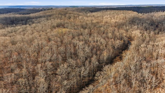 1655 Box Hollow Rd, New Johnsonville, TN 37134