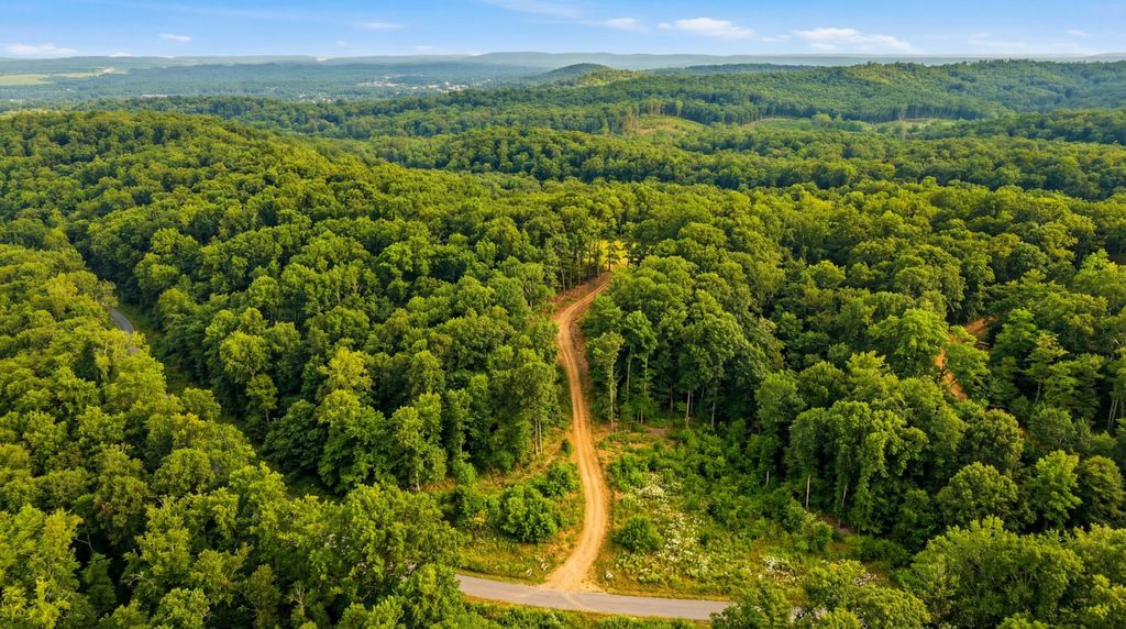 1655 Box Hollow Rd, New Johnsonville, TN 37134