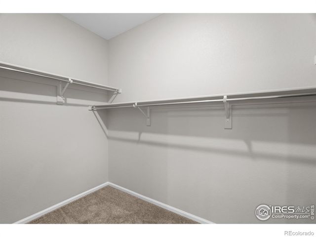 3326 Ice Lake Court, Loveland, CO 80538