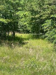 2587 Co Rd 521, Williamsville, MO 63901