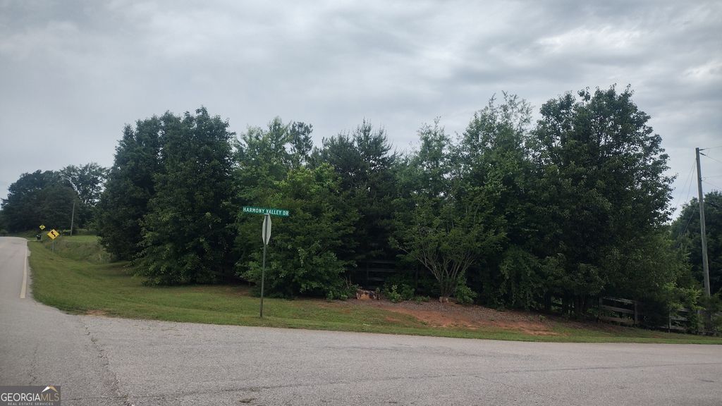 0 Pebble Creek Lane #9, Alto, GA 30510 — photo 2