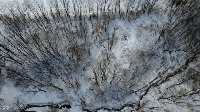 8101 Traders Hollow Lane, Indianapolis, IN 46278