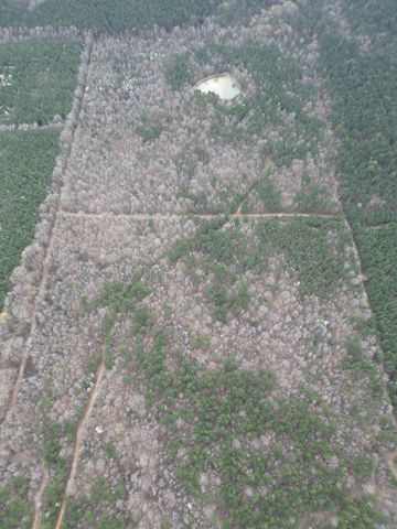 1072 Rock Springs Road, Wilmar, AR 71675